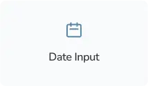 date-input