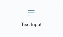 text-input