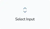 Select-input